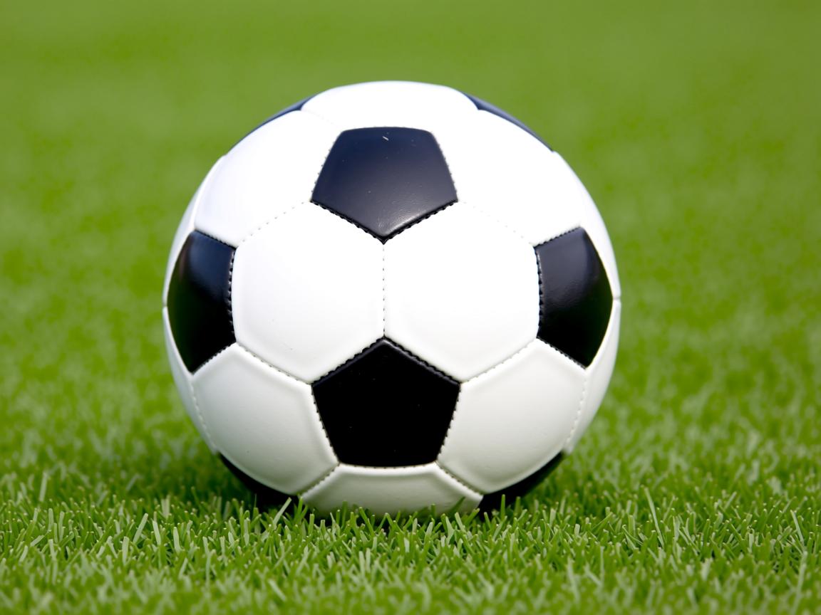 九游娱乐官网-俄罗斯队憾负丹麦，小组出线形势不容乐观