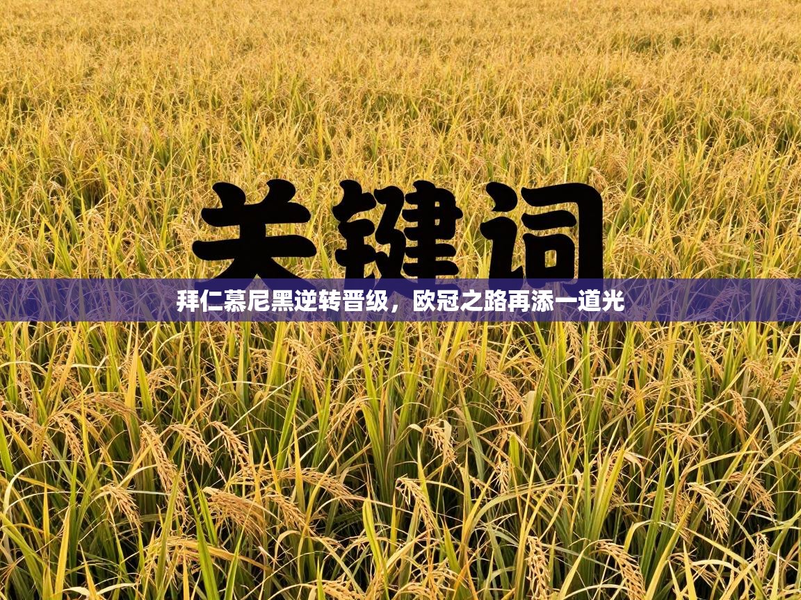 拜仁慕尼黑逆转晋级，欧冠之路再添一道光  第1张