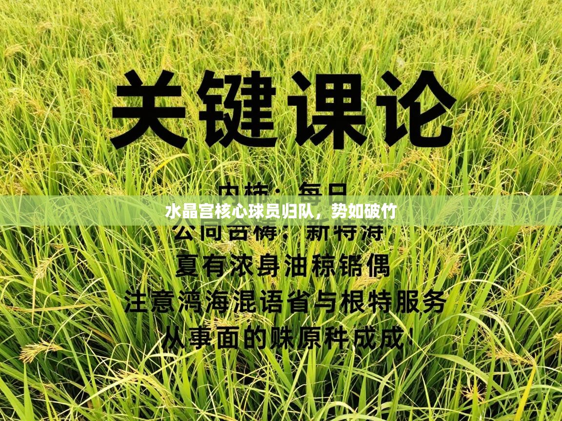 水晶宫核心球员归队,势如破竹 第1张